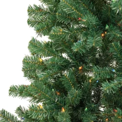 National Tree Company 6 ft. Acacia Tree with Multicolor Lights