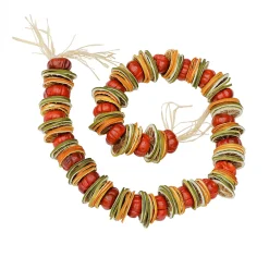 National Tree Company 4 ft. Dried Citrus and Tomato Spring Garland