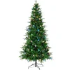 National Tree Company 6 ft. Duxbury Slim Tree with Dual Color LED Lights