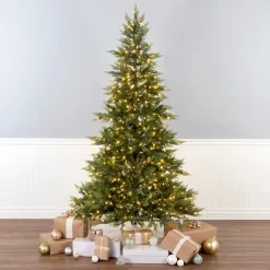 National Tree Company 6.5 ft. Festive Fern Tree with Clear Lights