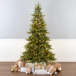 National Tree Company 7.5 ft. Festive Fern Tree with Clear Lights