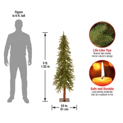 National Tree Company 5 ft. Hickory Cedar Tree