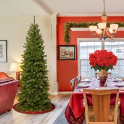 National Tree Company 6 ft. North Valley Spruce Pencil Slim Tree