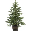 National Tree Company 4 ft. Norwegian Spruce Entrance Tree with Clear Lights