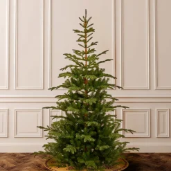 National Tree Company 7.5 ft. Norwegian Spruce Tree