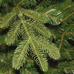 National Tree Company 7.5 ft. Norwegian Spruce Tree