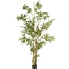 National Tree Company 6 ft. Potted Japanese Bamboo Tree
