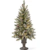 National Tree Company 4 ft. Pre-Lit Aberdeen Blue Spruce Tree with Twinkly LED Lights