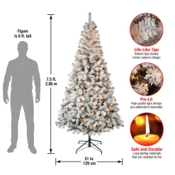 National Tree Company 7.5 ft. Pre-Lit Acacia Flocked Tree with Clear Lights