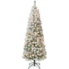 National Tree Company 6 ft. Pre-Lit Acacia Medium Flocked Tree with Clear Lights