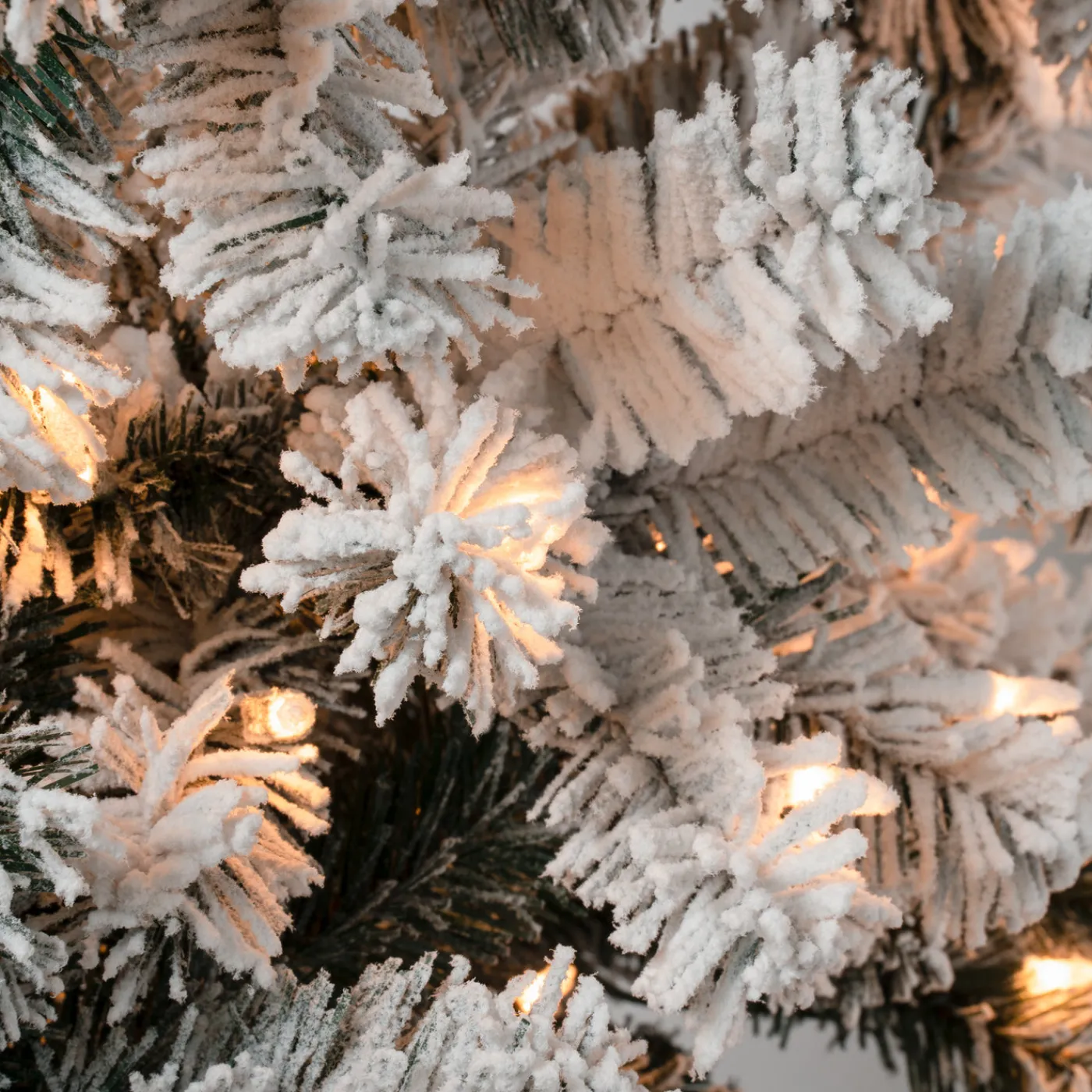 National Tree Company 6 ft. Pre-Lit Acacia Medium Flocked Tree with Clear Lights