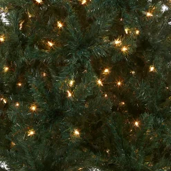 National Tree Company 6 ft. Pre-Lit Acacia Tree with Clear Lights