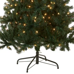 National Tree Company 6 ft. Pre-Lit Acacia Tree with Clear Lights