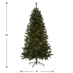 National Tree Company 6 ft. Pre-Lit Acacia Tree with Clear Lights