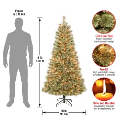 National Tree Company 6 ft. Pre-Lit Arcadia Pine Cashmere with Clear Lights