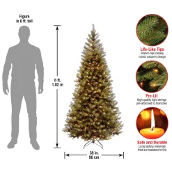 National Tree Company 6 ft. Pre-Lit Aspen Spruce Slim Tree with Clear Lights