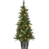 National Tree Company 5 ft. Pre-Lit Buzzard Pine Slim Tree with LED Lights