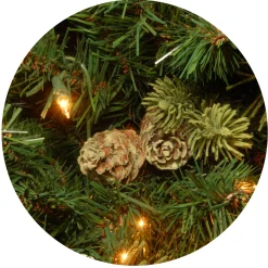 National Tree Company 7.5 ft. Pre-Lit Carolina Pine Tree with 750 Clear Lights