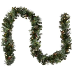 National Tree Company 9 ft. Pre-Lit Carolina Pine Garland with LED Lights
