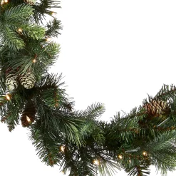 National Tree Company 9 ft. Pre-Lit Carolina Pine Garland with LED Lights
