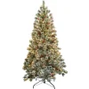 National Tree Company 6 ft. Pre-Lit Cashmere Tree with Clear Lights