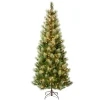 National Tree Company 7.5 ft. Pre-Lit Charleston Pine Slim Tree with Clear Lights