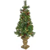 National Tree Company 4 ft. Pre-Lit Crestwood Spruce Tree with Warm White LED Lights