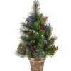 National Tree Company 2 ft. Pre-Lit Crestwood Spruce Tree with Multicolor LED Lights