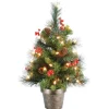 National Tree Company 2 ft. Pre-Lit Crestwood Spruce Tree with Clear Lights