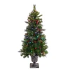 National Tree Company 4 ft. Pre-Lit Crestwood Spruce Tree with Twinkly LED Lights