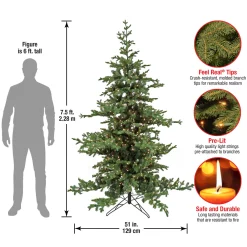National Tree Company 7.5 ft. Pre-Lit Decorator Tree