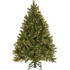 National Tree Company 4.5 ft. Pre-Lit Downswept Douglas Fir Tree with Clear Lights