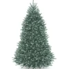 National Tree Company 7 ft. Pre-Lit Dunhill Blue Fir Tree with Clear Lights