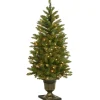 National Tree Company 4 ft. Pre-Lit Dunhill Fir Entrance Tree with Clear Lights
