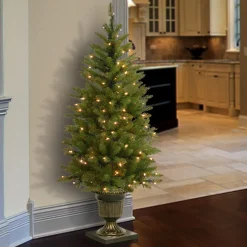 National Tree Company 4 ft. Pre-Lit Dunhill Fir Entrance Tree with Clear Lights