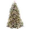 National Tree Company 7.5 ft. Pre-Lit Dunhill Fir Flocked Tree with 750 Clear Lights