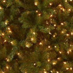 National Tree Company 6.5 ft. Pre-Lit Dunhill Fir Slim Tree with Clear Lights