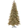 National Tree Company 7.5 ft. Pre-Lit Dunhill Fir Slim Tree with Clear Lights