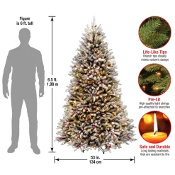National Tree Company 6.5 ft. Pre-Lit Dunhill Fir Snowy Tree with Clear Lights