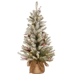 National Tree Company 3 ft. Pre-Lit Dunhill Fir Tree with Warm White LED Lights