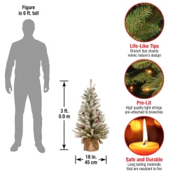 National Tree Company 3 ft. Pre-Lit Dunhill Fir Tree with Warm White LED Lights