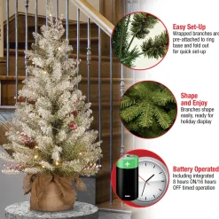 National Tree Company 3 ft. Pre-Lit Dunhill Fir Tree with Warm White LED Lights