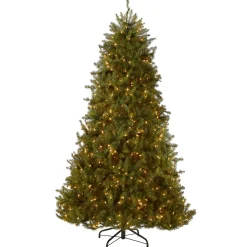 National Tree Company 6 ft. Pre-Lit Dunhill Fir Tree with Clear Lights