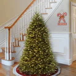 National Tree Company 6 ft. Pre-Lit Dunhill Fir Tree with Clear Lights