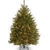 National Tree Company 4 ft. Pre-Lit Dunhill Fir Tree with Clear Lights