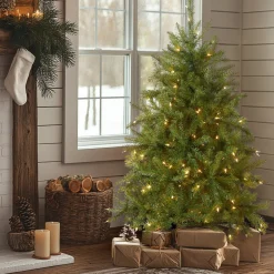 National Tree Company 4 ft. Pre-Lit Dunhill Fir Tree with Clear Lights