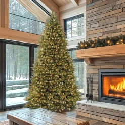 National Tree Company 10 ft. Pre-Lit Dunhill Fir Tree with Clear Lights