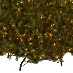 National Tree Company 10 ft. Pre-Lit Dunhill Fir Tree with Clear Lights