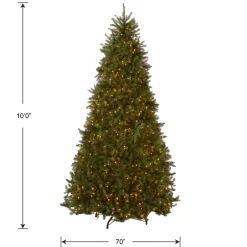National Tree Company 10 ft. Pre-Lit Dunhill Fir Tree with Clear Lights