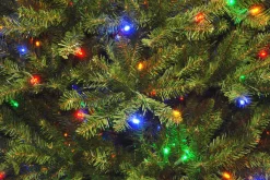 National Tree Company 9 ft. Pre-Lit Dunhill Fir Tree with PowerConnect Dual Color LED Lights